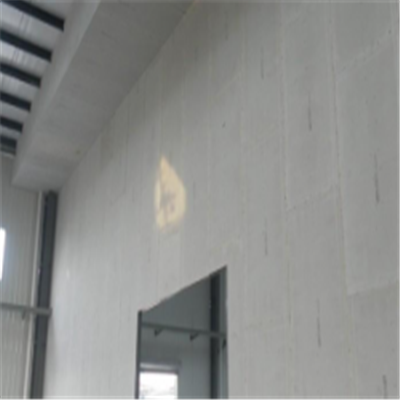 颍东宁波ALC板|EPS加气板隔墙与混凝土整浇联接的实验研讨